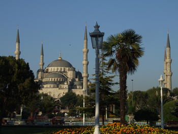 Modra mesita, Istanbul, TR